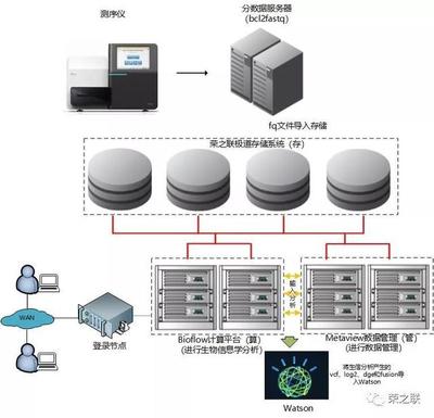 基因检测分析服务升级，荣之联助力菩提慧生医学检验所数据处理服务