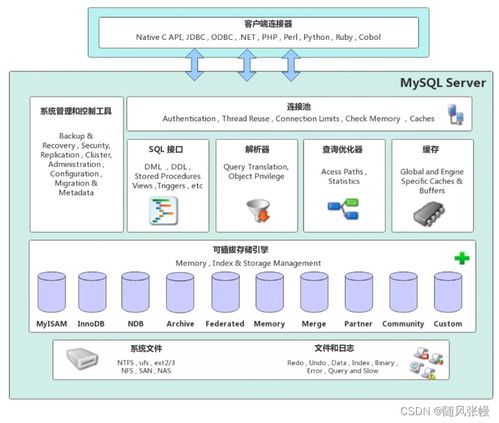 MySQL数据库基础与数据处理服务入门